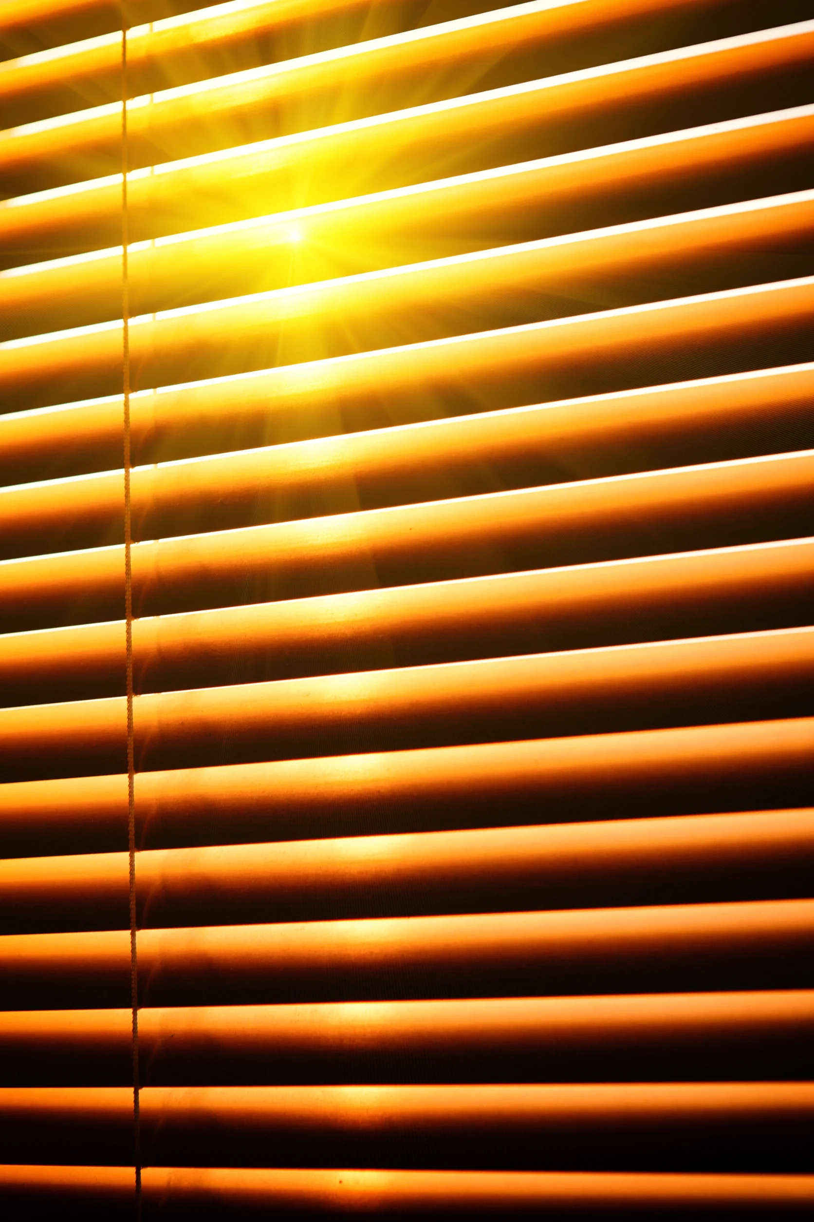 Interior and Exterior Blinds