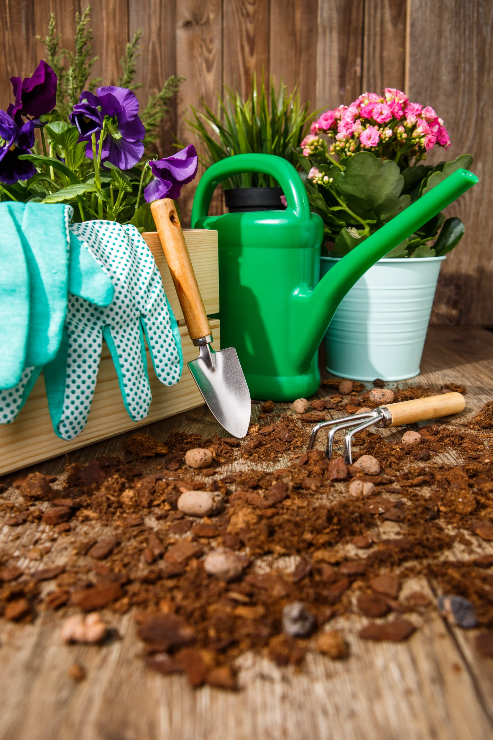 Gardener/Garden Maintenance