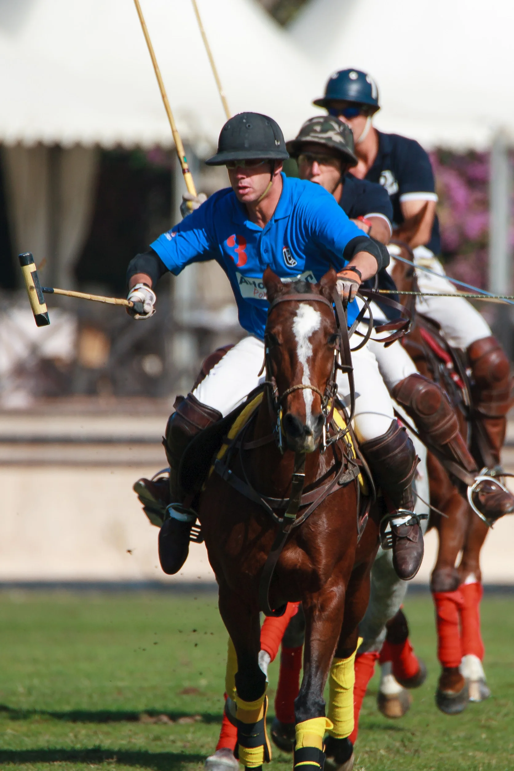 Polo & Equestrian Sports
