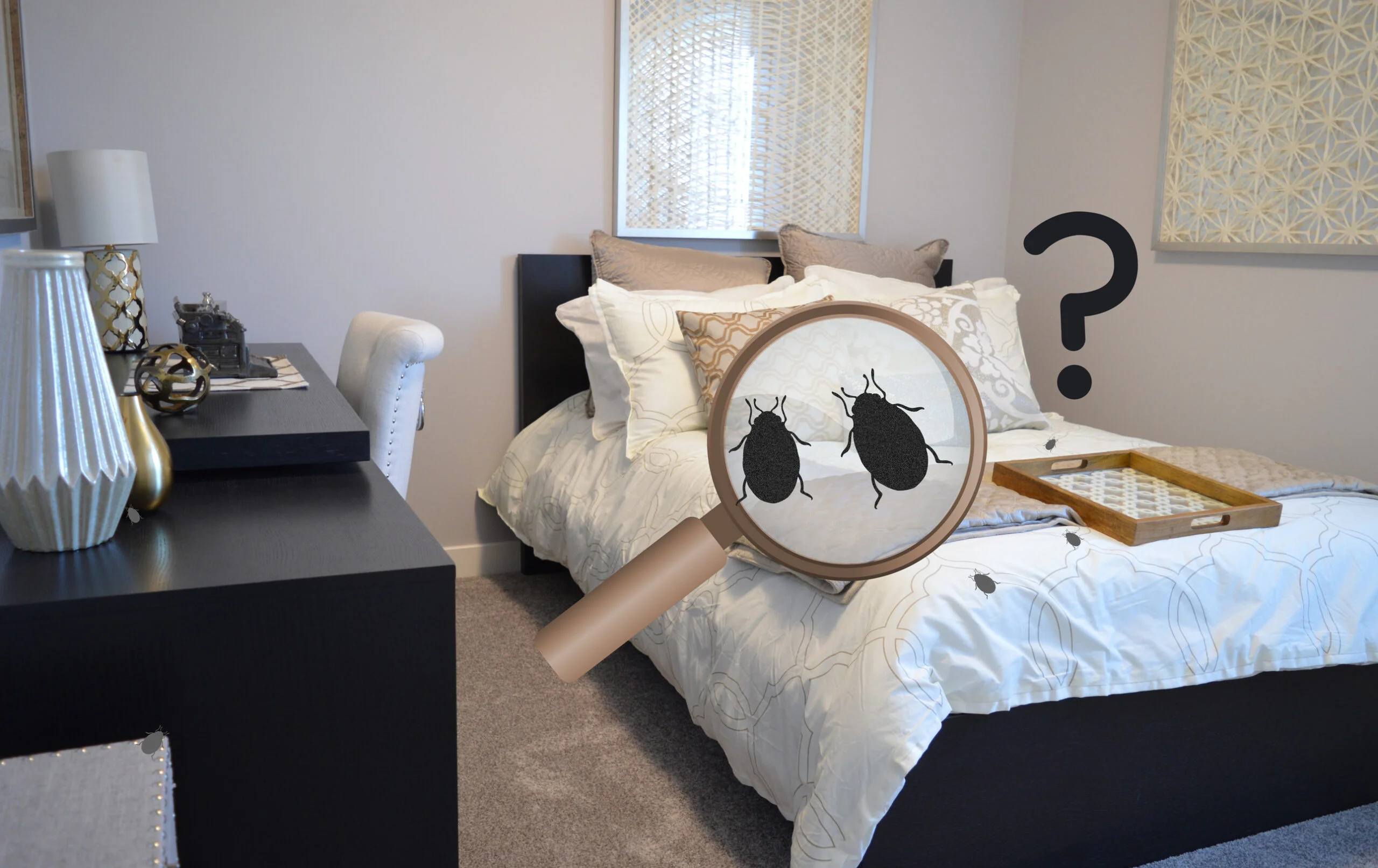 Pest Control – Fast, Safe, and Reliable Solutions